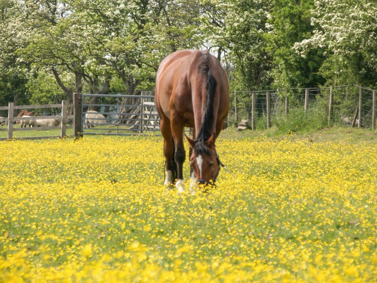イルクリー Myddelton Grangeヴィラ エクステリア 写真